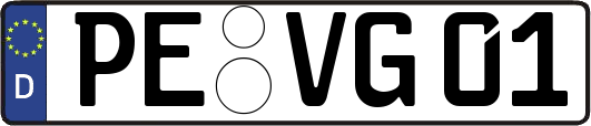 PE-VG01