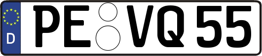 PE-VQ55