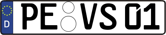 PE-VS01