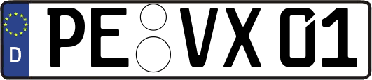 PE-VX01