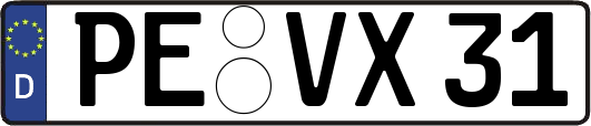PE-VX31