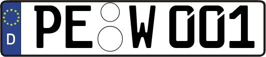 PE-W001