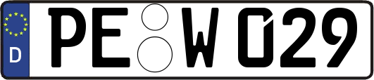 PE-W029