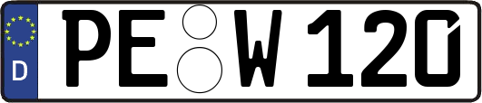 PE-W120