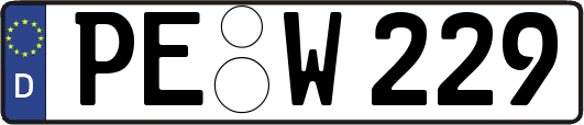 PE-W229