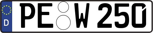 PE-W250