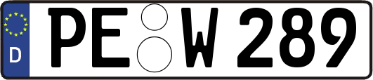 PE-W289