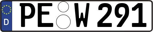 PE-W291