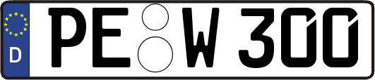PE-W300