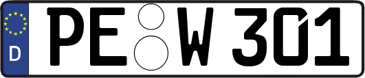 PE-W301