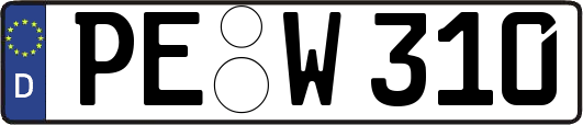PE-W310