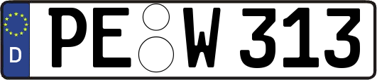 PE-W313
