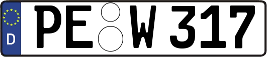 PE-W317