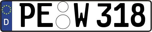 PE-W318