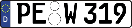 PE-W319