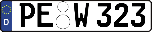 PE-W323