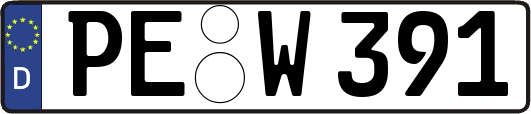 PE-W391