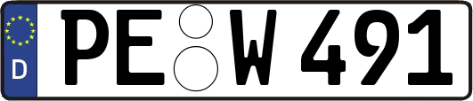 PE-W491