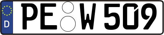 PE-W509