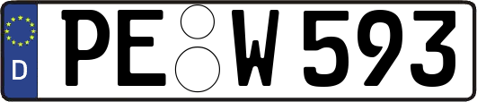 PE-W593