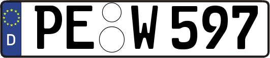 PE-W597