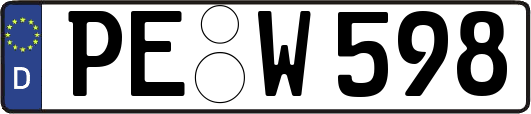 PE-W598