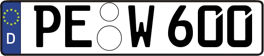 PE-W600