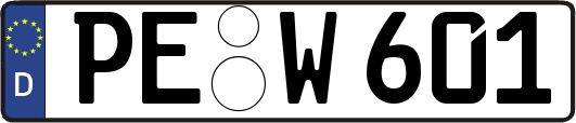 PE-W601