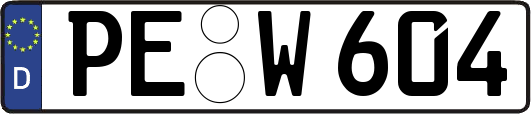 PE-W604