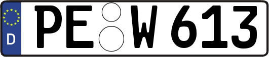 PE-W613