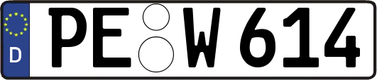 PE-W614