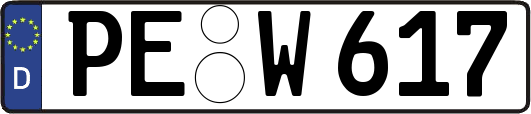 PE-W617