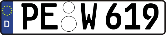 PE-W619