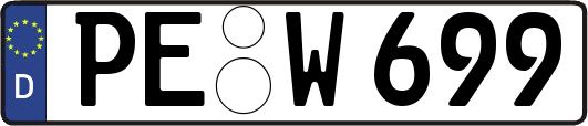 PE-W699