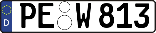 PE-W813