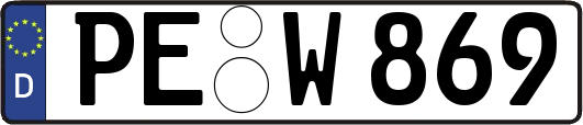 PE-W869