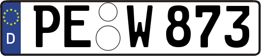 PE-W873