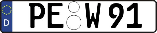 PE-W91