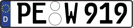 PE-W919