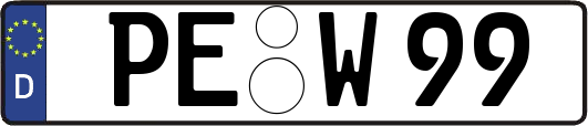PE-W99