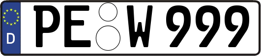 PE-W999
