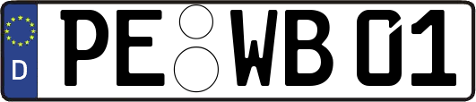 PE-WB01