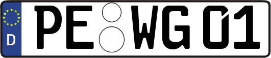 PE-WG01