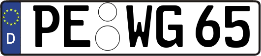 PE-WG65