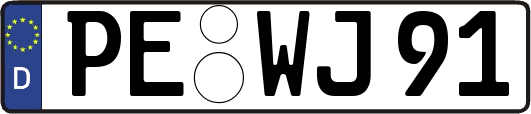 PE-WJ91