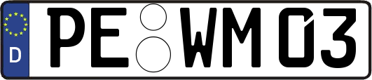 PE-WM03