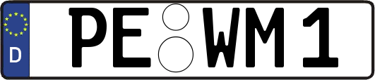 PE-WM1