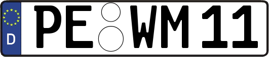 PE-WM11