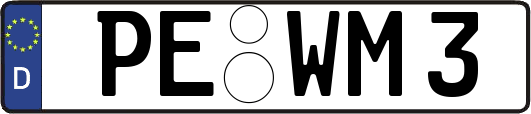 PE-WM3
