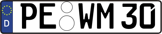 PE-WM30